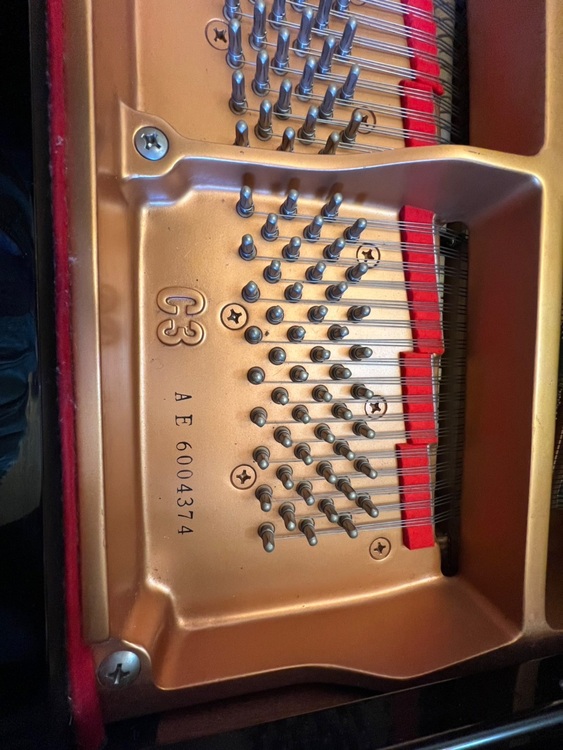 C3AE6004374（ピアノ・楽器・PA機材）の商品画像 - 査定依頼日：2025年11月29日 - 最高査定価格：3,000円