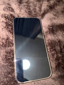 iPhone iPhone 13 Pro Max 256GB docomo（スマホ）の商品画像 - 査定依頼日：2026年9月3日 - 最高査定価格：62,000円