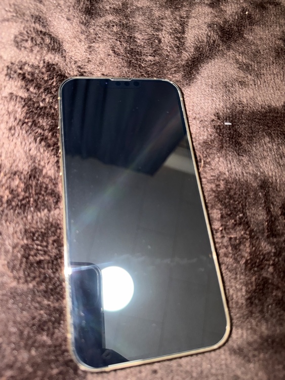 iPhone iPhone 13 Pro Max 256GB docomo（スマホ）の商品画像 - 査定依頼日：2026年9月3日 - 最高査定価格：62,000円