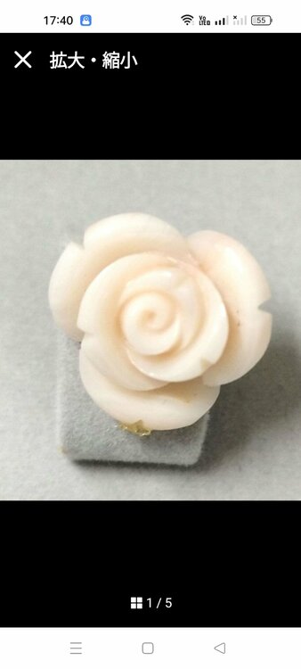 珊瑚のルース（宝石）の商品画像 - 査定依頼日：2026年6月24日 - 最高査定価格：100円