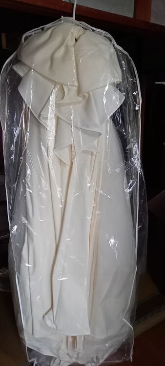 ウエディングドレス（古着・ファッション）の商品画像 - 査定依頼日：2025年8月13日 - 最高査定価格：3,000円