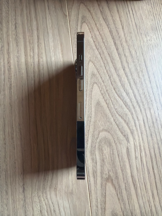 iPhone iPhone 13 Pro 256GB docomo（スマホ）の商品画像 - 査定依頼日：2026年6月9日 - 最高査定価格：54,000円