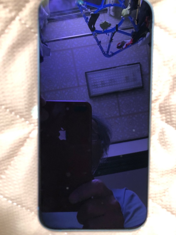 iPhone iPhone 14 Plus 256GB SIMフリー（スマホ）の商品画像 - 査定依頼日：2026年8月12日 - 最高査定価格：53,000円