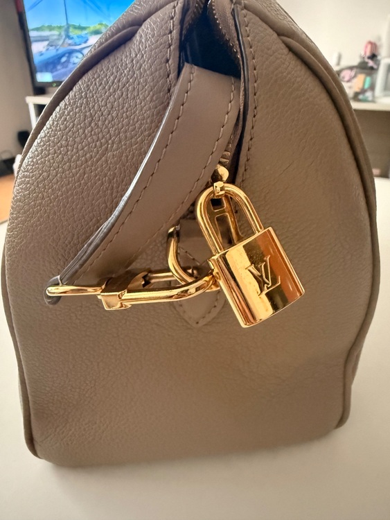 ルイヴィトン スピーディー （ブランドバッグ）の商品画像 - 査定依頼日：2025年11月18日 - 最高査定価格：280,000円