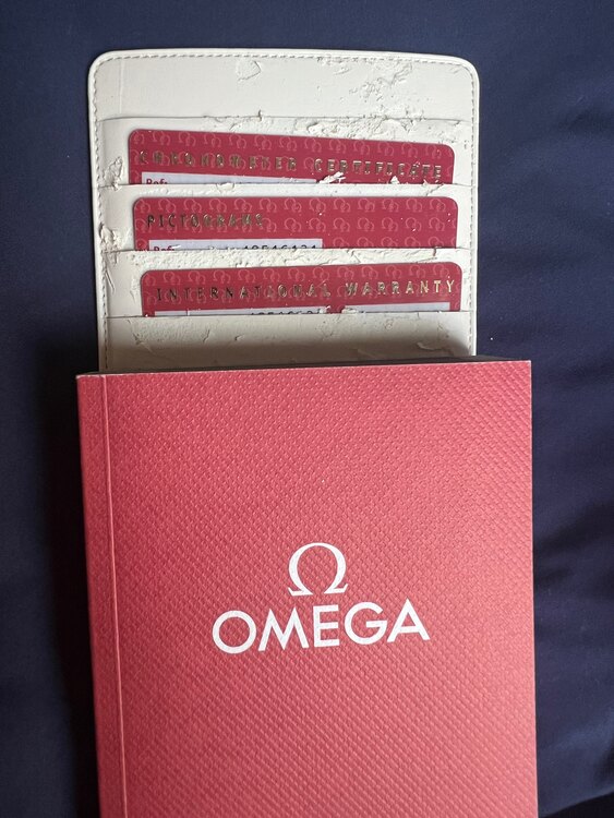 オメガ デ･ビル  4851.61.31（高級時計）の商品画像 - 査定依頼日：2025年4月4日 - 最高査定価格：380,000円