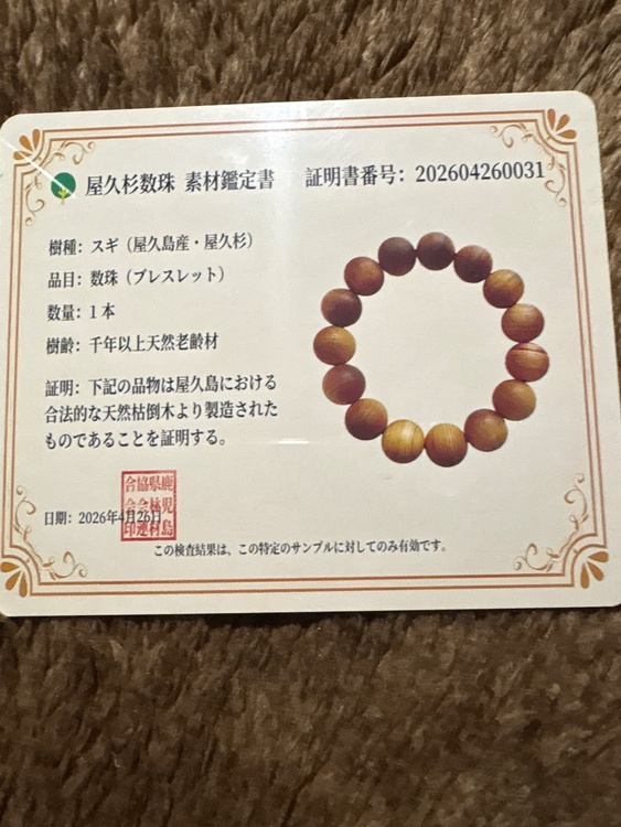 屋久杉ブレスレット（美術品・骨董品）の商品画像 - 査定依頼日：2026年7月16日 - 最高査定価格：3,000円