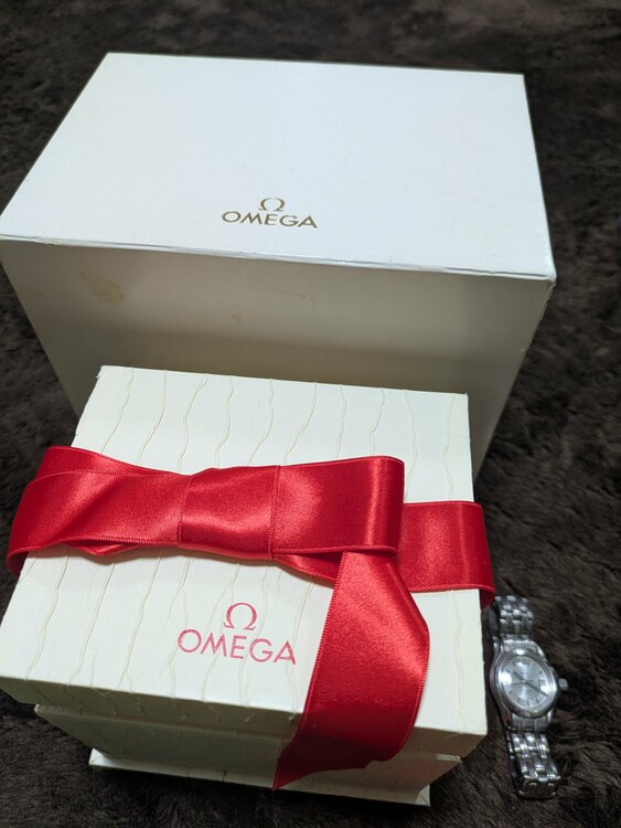 シーマスター120（高級時計）の商品画像 - 査定依頼日：2026年2月19日 - 最高査定価格：110,000円