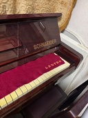 SCHNAEIDER（ピアノ・楽器・PA機材）の商品画像 - 査定依頼日：2026年1月10日 - 最高査定価格：30,000円