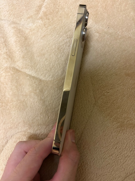 iPhone iPhone 13 Pro Max 256GB SIMフリー（スマホ）の商品画像 - 査定依頼日：2026年6月9日 - 最高査定価格：62,000円