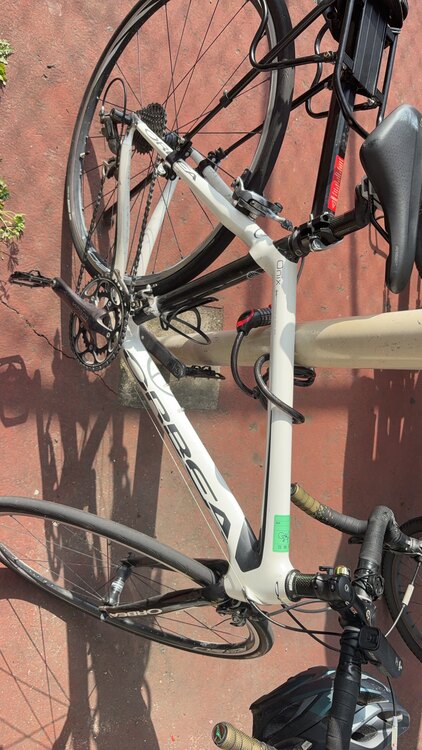 ロードバイク　オルベア（自転車）の商品画像 - 査定依頼日：2025年5月20日 - 最高査定価格：31,000円