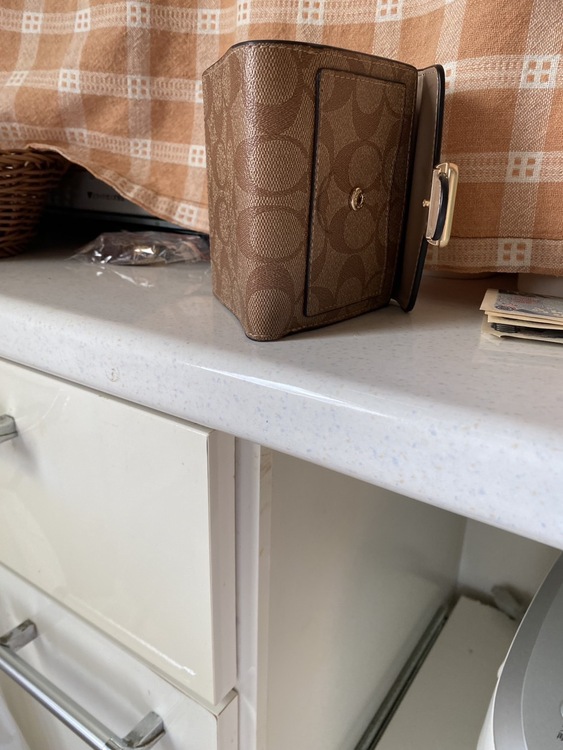 その他 コーチ （ブランドバッグ）の商品画像 - 査定依頼日：2026年1月23日 - 最高査定価格：2,000円