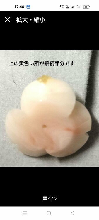 珊瑚のルース（宝石）の商品画像 - 査定依頼日：2026年6月24日 - 最高査定価格：100円