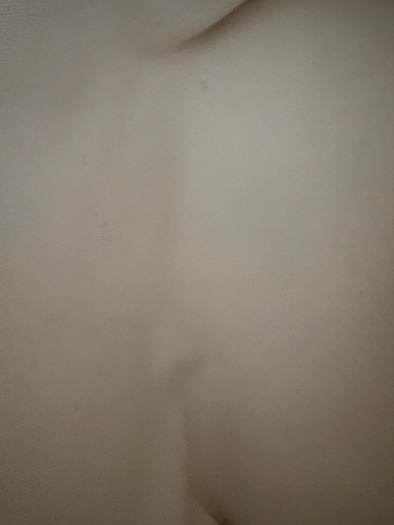 セリーヌ  （ブランドバッグ）の商品画像 - 査定依頼日：2026年4月11日 - 最高査定価格：75,000円