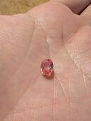 パパラチアサファイア（金・貴金属）の商品画像 - 査定依頼日：2025年11月25日 - 最高査定価格：1,200円