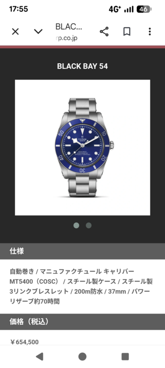チューダー ブラックベイ（高級時計）の商品画像 - 査定依頼日：2026年8月20日 - 最高査定価格：650,000円