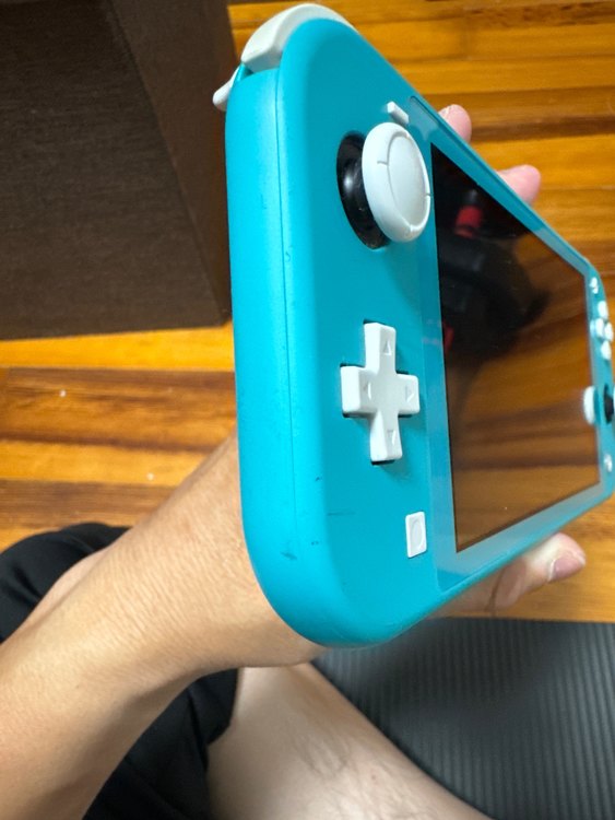 Nintendo Switch Light（ゲーム機本体・ゲームソフト）の商品画像 - 査定依頼日：2023年10月9日 - 最高査定価格：10,000円