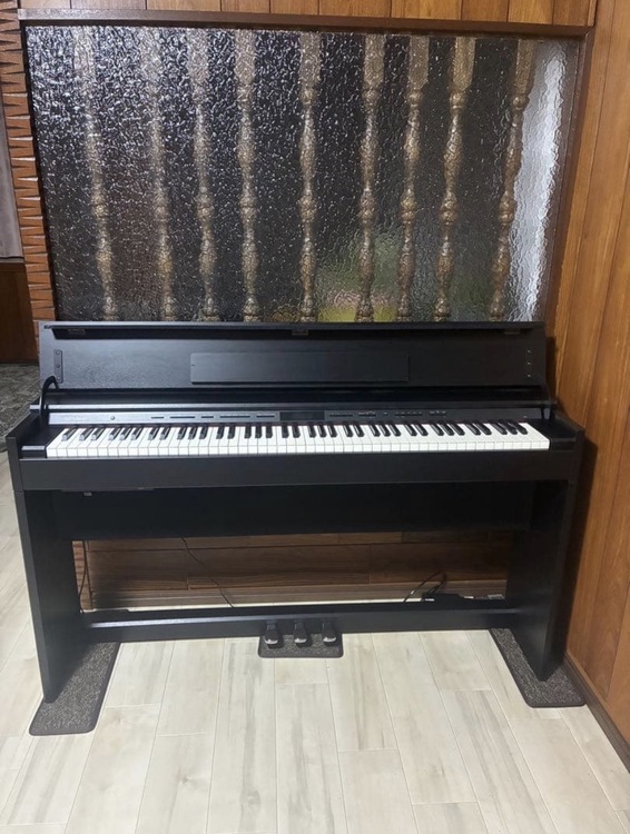 DP603（ピアノ・楽器・PA機材）の商品画像 - 査定依頼日：2025年12月29日 - 最高査定価格：10,000円