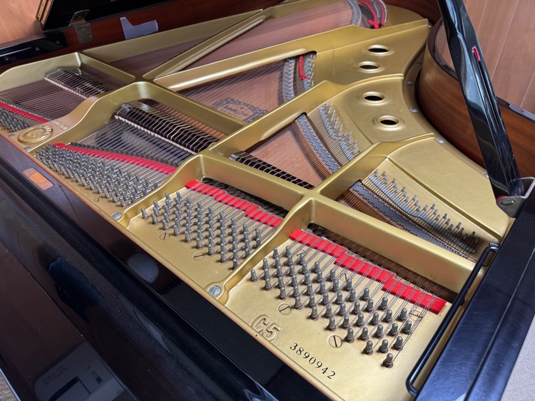 C5  3890942  （ピアノ・楽器・PA機材）の商品画像 - 査定依頼日：2026年1月21日 - 最高査定価格：10,000円