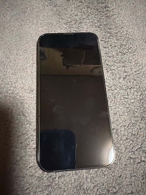 iPhone 13 Pro Max 256GB SIMフリー（スマホ）の商品画像 - 査定依頼日：2026年3月30日 - 最高査定価格：51,000円