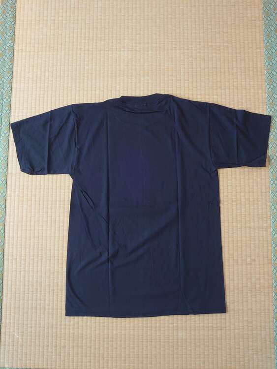 ヴァンパイアセイヴァー Tシャツ（古着・ファッション）の商品画像 - 査定依頼日：2025年4月16日 - 最高査定価格：3,000円