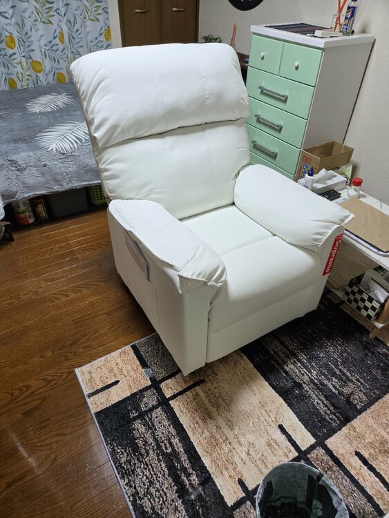 その他 その他 （ブランドバッグ）の商品画像 - 査定依頼日：2026年4月15日 - 最高査定価格：1,000円