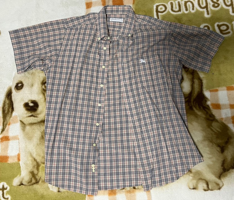 Burberrys チェック柄 Lサイズ半袖シャツ（古着・ファッション）の商品画像 - 査定依頼日：2025年11月17日 - 最高査定価格：500円