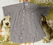 Burberrys チェック柄 Lサイズ半袖シャツ（古着・ファッション）の商品画像 - 査定依頼日：2025年11月17日 - 最高査定価格：500円