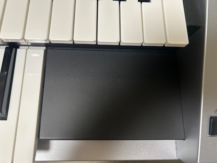 ELS-02C（ピアノ・楽器・PA機材）の商品画像 - 査定依頼日：2025年11月12日 - 最高査定価格：130,000円