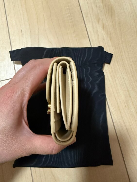 セリーヌ  （ブランドバッグ）の商品画像 - 査定依頼日：2025年5月28日 - 最高査定価格：35,000円