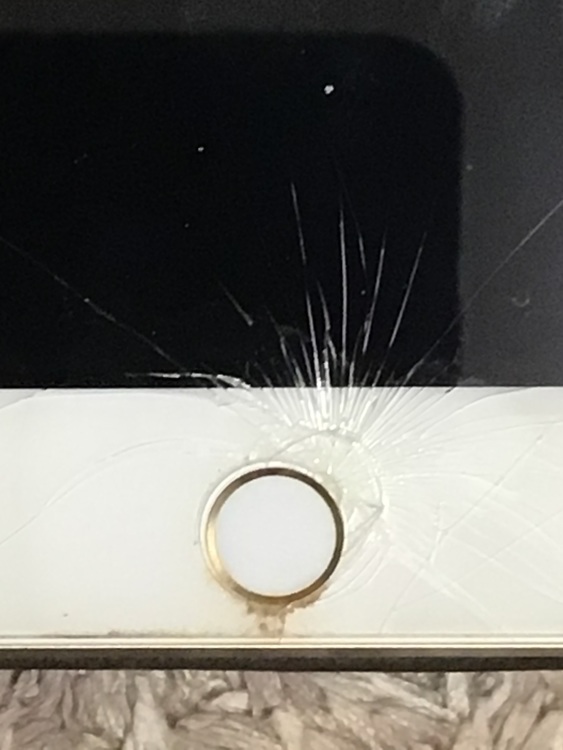 iPad mini4 32GB MNWG2J/A（PC・タブレット）の商品画像 - 査定依頼日：2022年6月11日 - 最高査定価格：3,500円