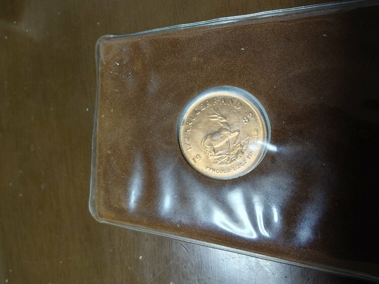 クルーガー ランド 金貨 1/2oz（金・貴金属）の商品画像 - 査定依頼日：2026年1月20日 - 最高査定価格：400,000円