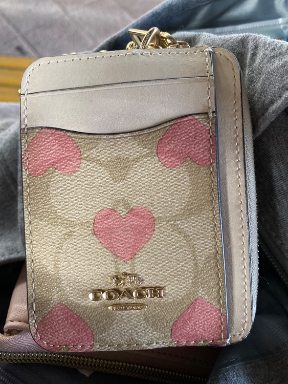 その他 コーチ （ブランドバッグ）の商品画像 - 査定依頼日：2026年3月2日 - 最高査定価格：2,000円