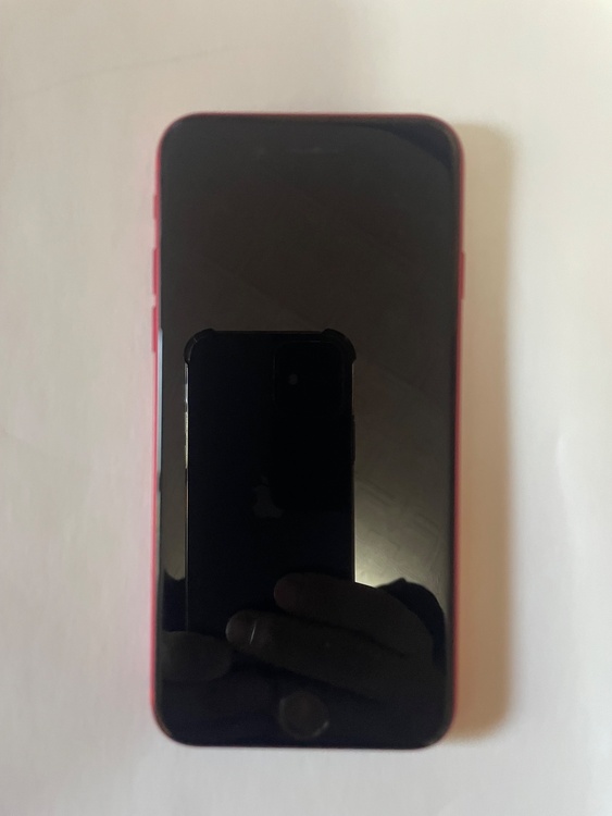 iPhone iPhone SE (第 2 世代) 128GB SIMフリー（スマホ）の商品画像 - 査定依頼日：2026年7月21日 - 最高査定価格：12,000円