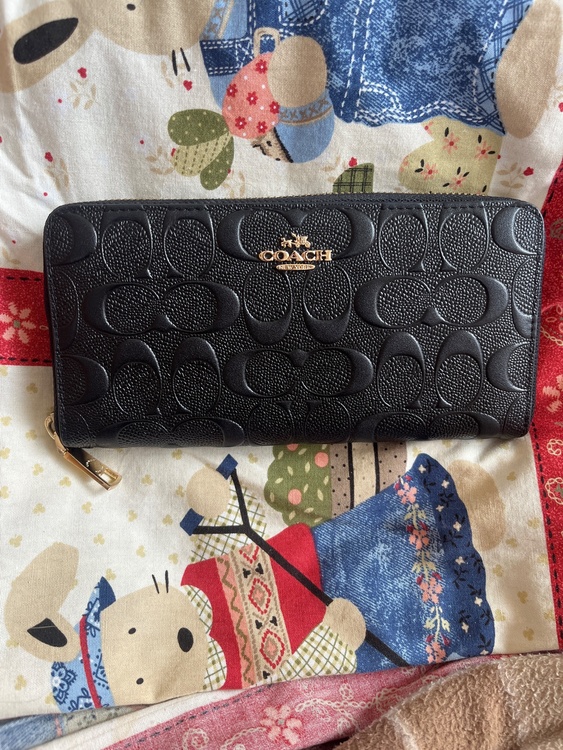 その他 コーチ （ブランドバッグ）の商品画像 - 査定依頼日：2026年2月1日 - 最高査定価格：1,500円