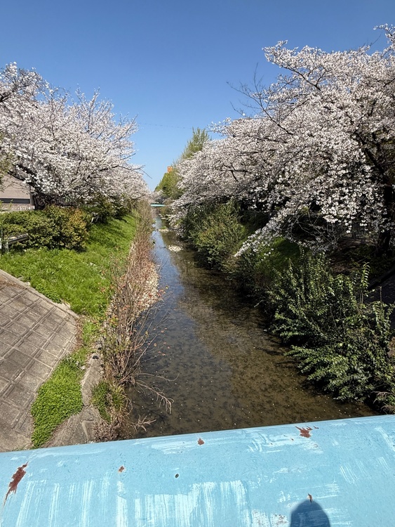 ジーンズ上下とワールドカップのシューズ（古着・ファッション）の商品画像 - 査定依頼日：2026年4月4日 - 最高査定価格：8,000円