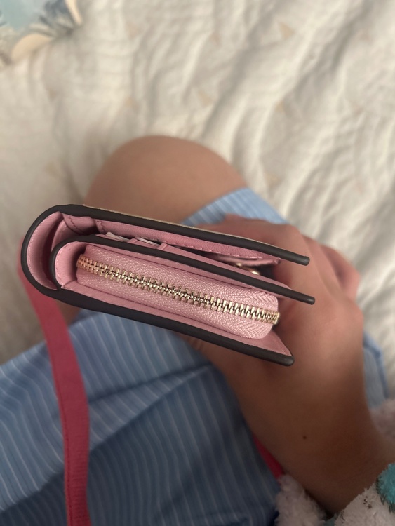 その他 コーチ （ブランドバッグ）の商品画像 - 査定依頼日：2026年3月29日 - 最高査定価格：1,500円