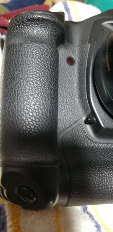 Canon EOS 1D MarkII キヤノン（カメラ）の商品画像 - 査定依頼日：2026年6月22日 - 最高査定価格：15,100円