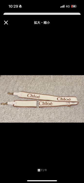 その他 クロエ （ブランドバッグ）の商品画像 - 査定依頼日：2025年12月15日 - 最高査定価格：80,000円