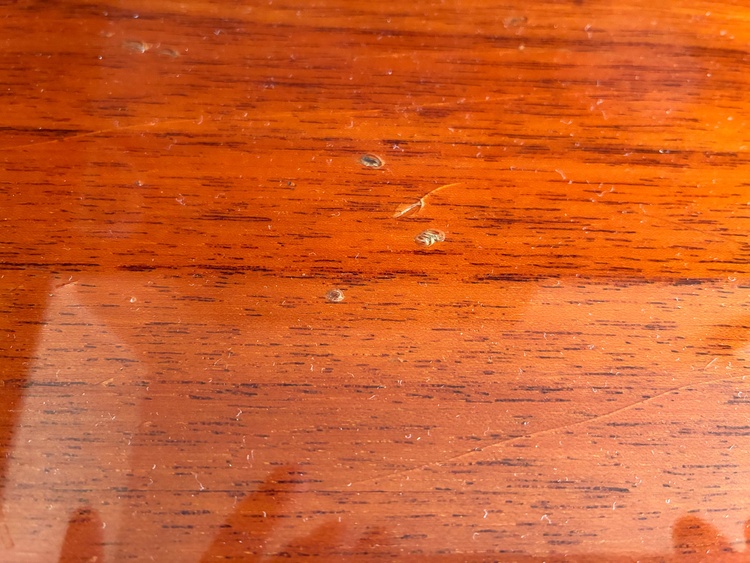 W104 2932898（ピアノ・楽器・PA機材）の商品画像 - 査定依頼日：2025年12月28日 - 最高査定価格：5,000円