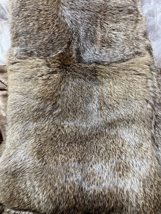 ルイヴィトン ルイヴィトン(その他) （ブランドバッグ）の商品画像 - 査定依頼日：2026年2月10日 - 最高査定価格：105,000円