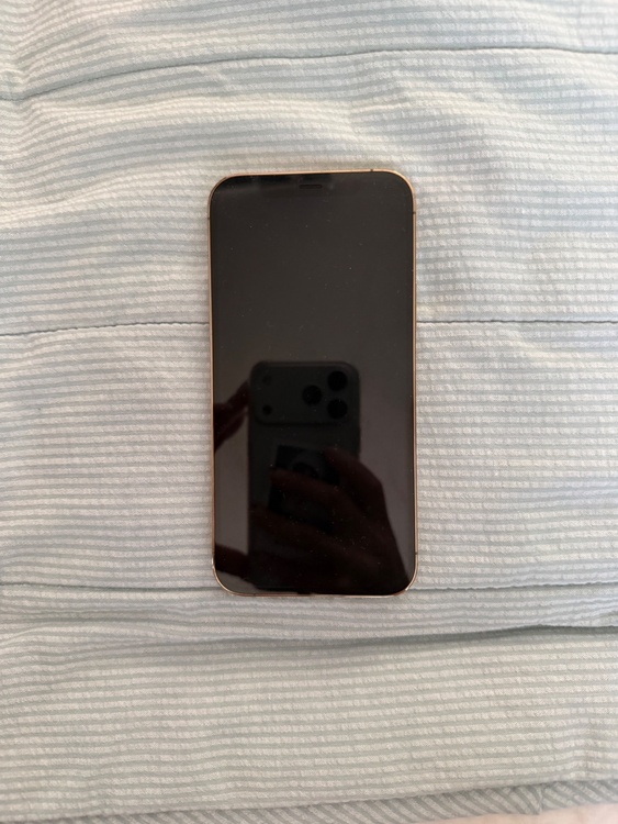 iPhone12Pro（スマホ）の商品画像 - 査定依頼日：2026年8月4日 - 最高査定価格：29,500円