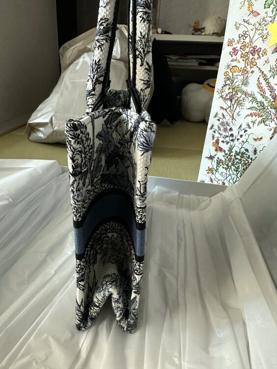 ディオール  （ブランドバッグ）の商品画像 - 査定依頼日：2025年1月24日 - 最高査定価格：180,000円