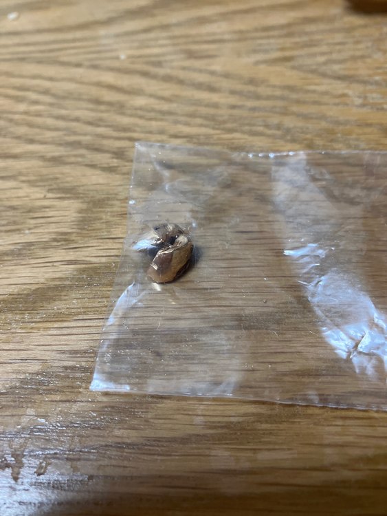 金歯（金・貴金属）の商品画像 - 査定依頼日：2023年3月15日 - 最高査定価格：5,000円