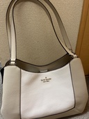 その他 その他 （ブランドバッグ）の商品画像 - 査定依頼日：2025年12月22日 - 最高査定価格：3,500円