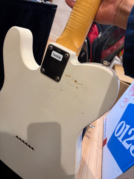 LSL INSTRUMENTS T-Bone テレキャスタ（ピアノ・楽器・PA機材）の商品画像 - 査定依頼日：2026年4月16日 - 最高査定価格：250,000円
