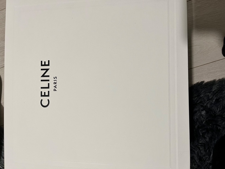 セリーヌ  （ブランドバッグ）の商品画像 - 査定依頼日：2026年3月10日 - 最高査定価格：100,000円
