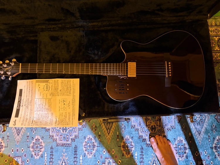 Godin model 6（ピアノ・楽器・PA機材）の商品画像 - 査定依頼日：2026年10月2日 - 最高査定価格：45,000円