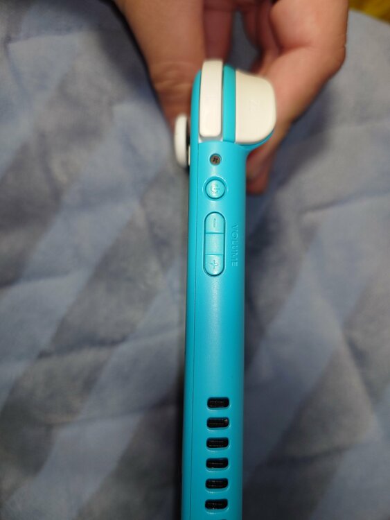 Nintendo Switch Lite（ゲーム機本体・ゲームソフト）の商品画像 - 査定依頼日：2026年4月12日 - 最高査定価格：12,000円