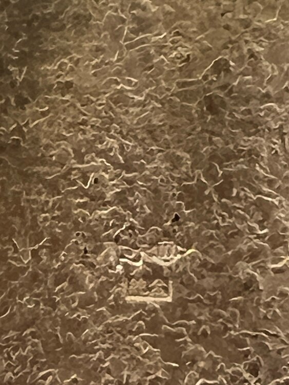 大判（金・貴金属）の商品画像 - 査定依頼日：2025年2月20日 - 最高査定価格：2,600,000円