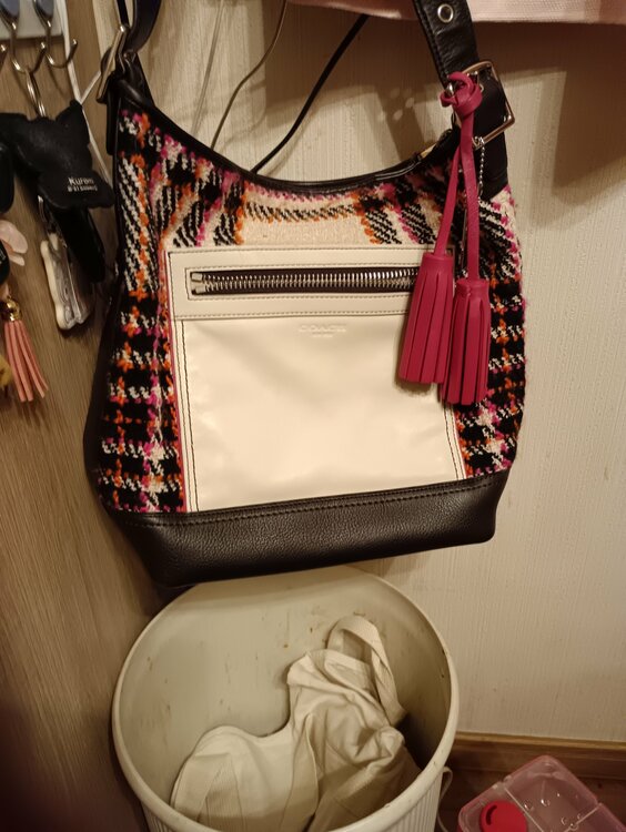 その他 コーチ （ブランドバッグ）の商品画像 - 査定依頼日：2025年12月12日 - 最高査定価格：3,000円